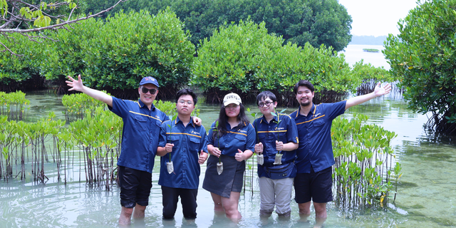 Rooting for the Planet with Bahtera Adi Jaya’s Mangrove Planting Initiative