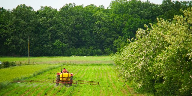In the Weeds with Glyphosate IPA: A Comprehensive Glossary