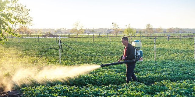Post-Paraquat Agriculture and the Rising of Emulan LVA
