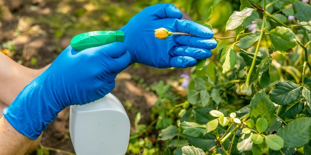 The Challenges Farmers Are Facing in Using Pesticides
