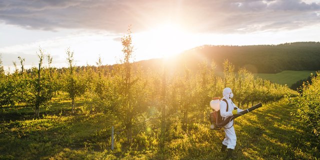 Sustainable Pesticide Formulations: Choosing the Right Ingredients