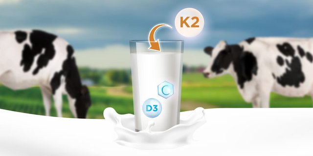 Vitamin K2: The Secret to Supercharged Calcium