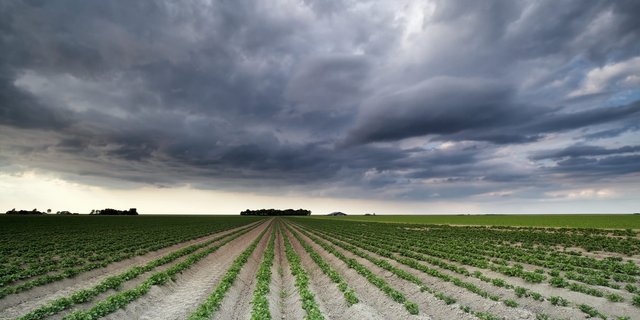Emulan LVA Assists in Weathering the Storm and Protecting Crops from Harm