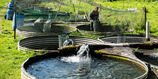 Maximizing Indonesia’s Aquaculture Industry