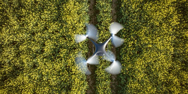 Tampilan Udara Drone yang Terbang di Atas Sebuah Lahan Pertanian