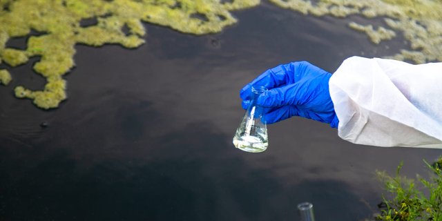 Water Quality for Aquaculture Sustainability