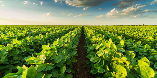 EW Pesticides: An Environmentally Friendly Solution for the Future of Agriculture