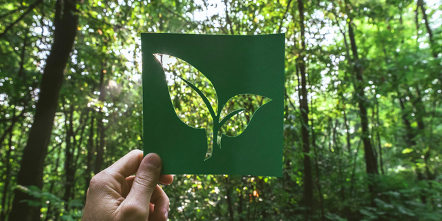 Green Chemicals: Definition, Criteria, Examples, and Their Impact on Industry