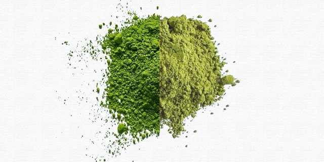 Ceremonial Grade vs. Culinary Grade Matcha: Which One Is Right for Your Product?