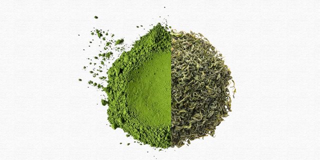 Matcha Powder vs. Green Tea Extract: What's the Difference for the Industry?