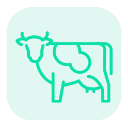 Animal Care Solution