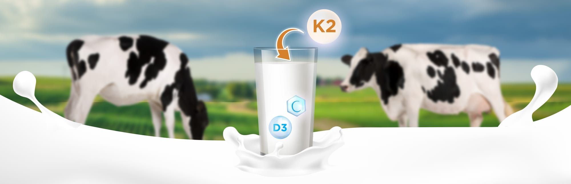 Vitamin K2: The Secret to Supercharged Calcium