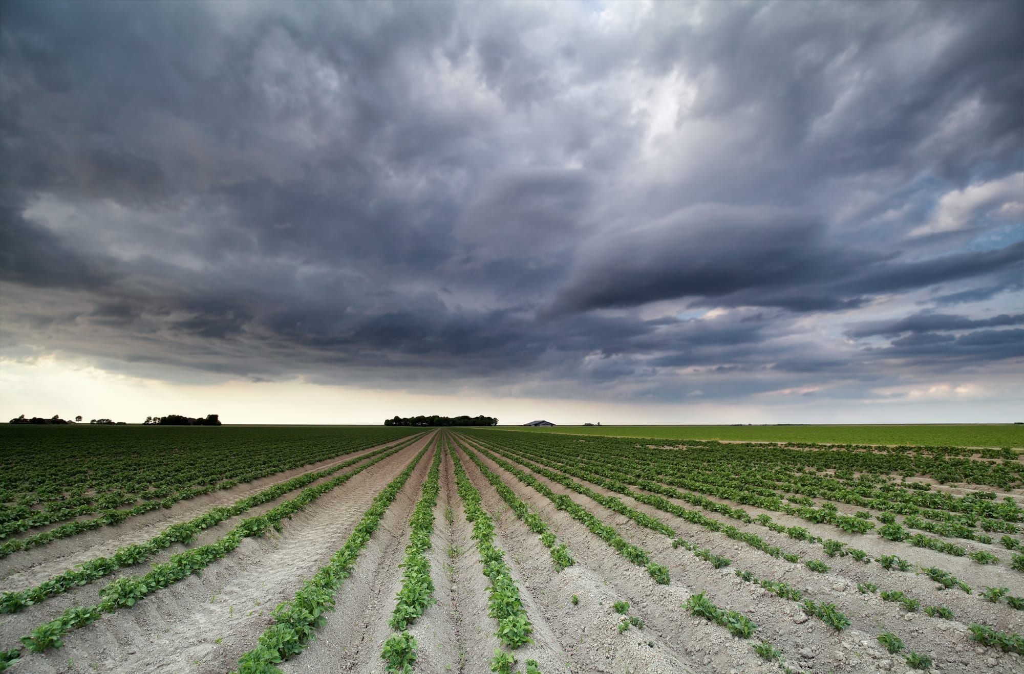 Emulan LVA Assists in Weathering the Storm and Protecting Crops from Harm